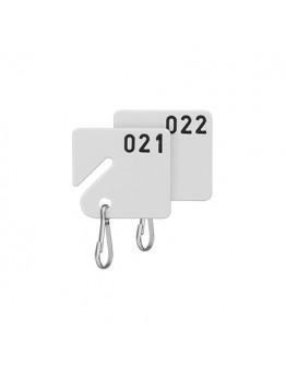 Sequentially Numbered Key Tags
